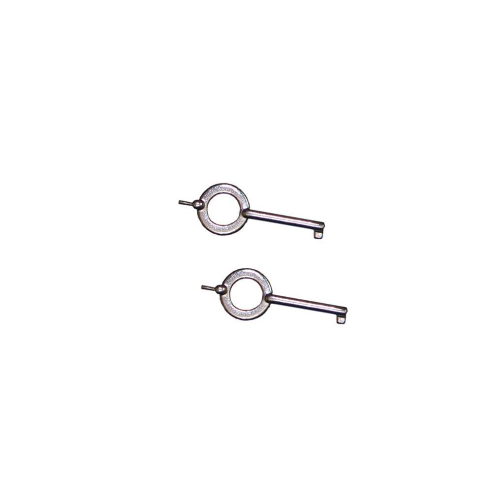 SAMPLE -Twin Ring Backup Handcuff Keys - Brushed Steel